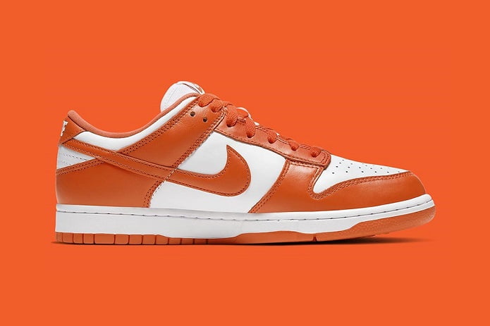 Nike Dunk Low Syracuse Left Medial