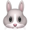 :rabbit:
