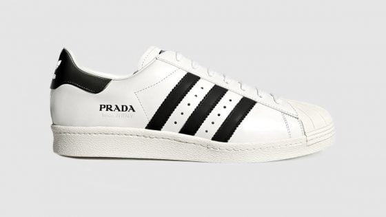 Prada x adidas Superstar