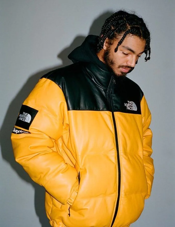 supreme x the north face leather nuptse jacket