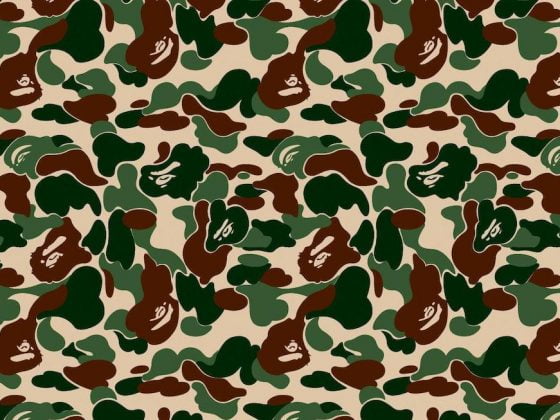 BAPE Camouflage