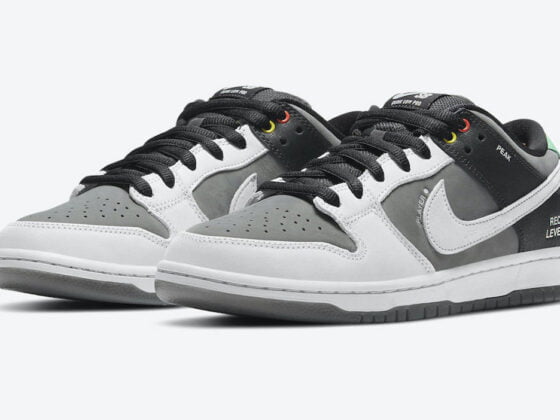Nike SB Dunk Low VX1000 Camcorder Feature