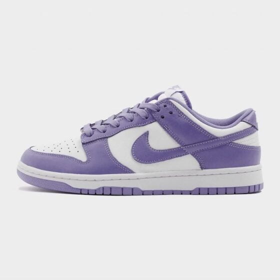 A Nike Dunk Low 
