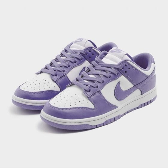 A Nike Dunk Low 