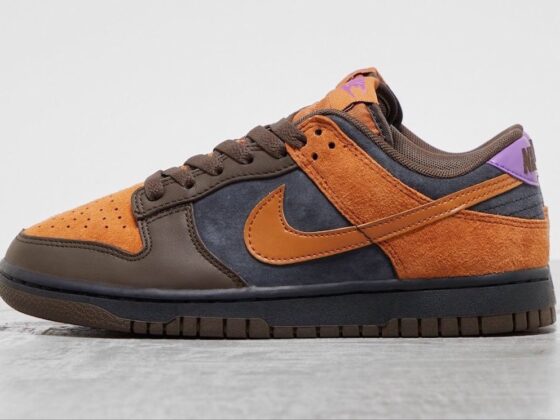 Nike Dunk Low PRM Cider Feature
